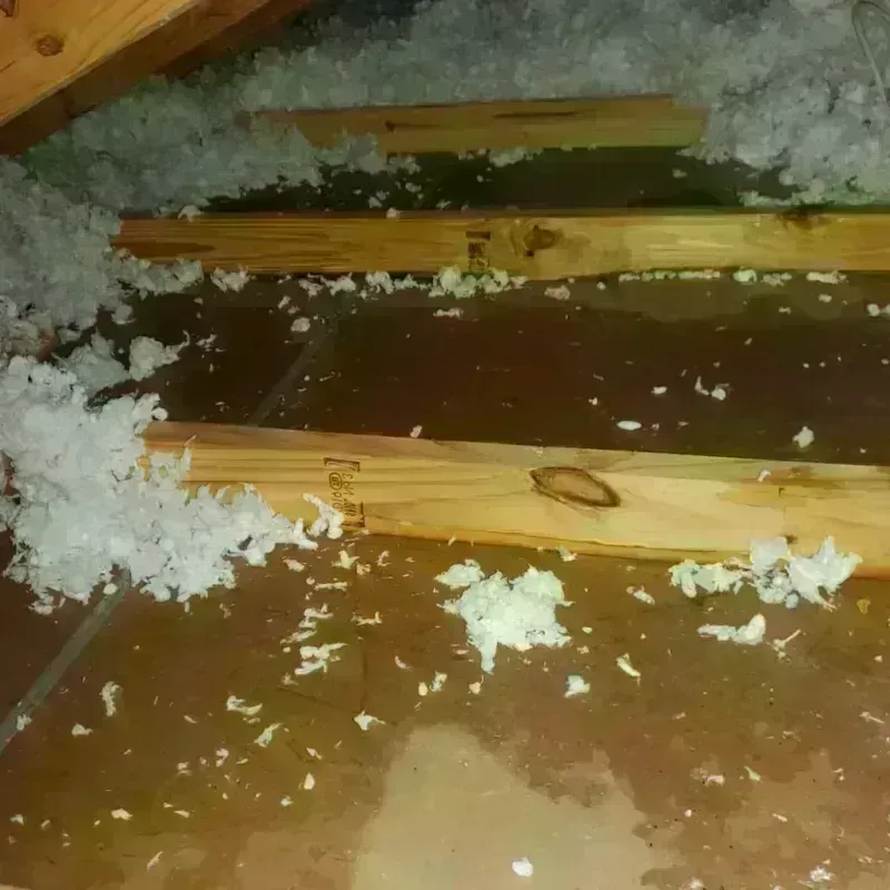 Attic Water Damage in Memphis, MO