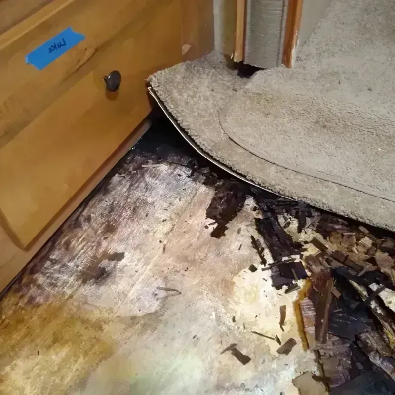 Wood Floor Water Damage in Memphis, MO